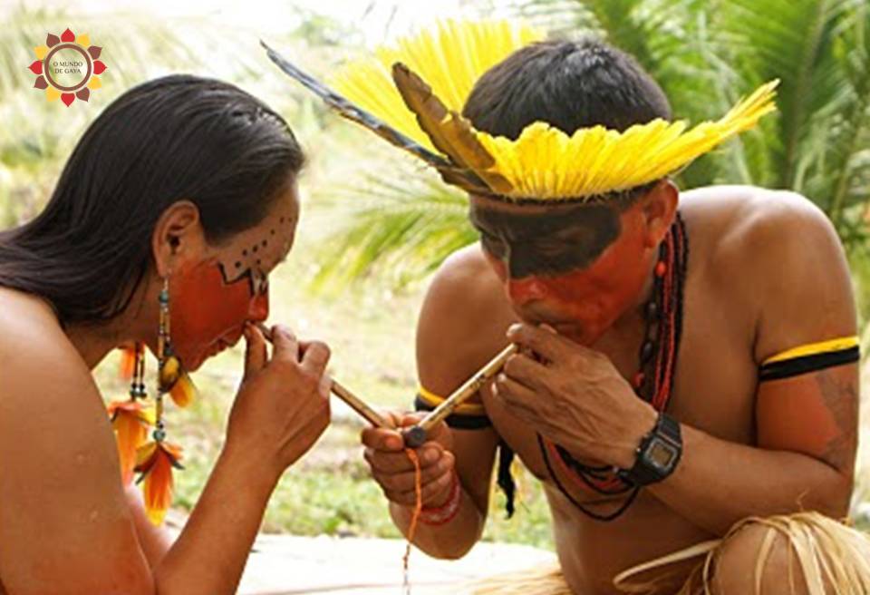 130 Rapé, ausgesprochen 'ha-peh', ist eine heilige, mächtige und tiefgründige Tradition verschiedener indigener Stämme im Amazonas-Regenwald. Diese einzigartige zeremonielle Substanz hat weltweit aufgrund ihrer starken spirituellen und heilenden Eigenschaften vermehrte Aufmerksamkeit erregt. Es ist jedoch wichtig, ihren traditionellen Kontext, ihren beabsichtigten Gebrauch und den Respekt zu verstehen, den sie verdient.